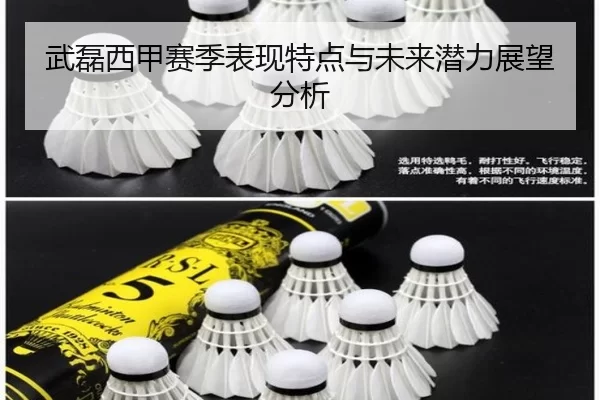 武磊西甲赛季表现特点与未来潜力展望分析